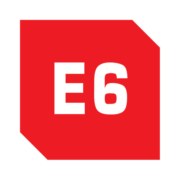 E6 Processing Service
