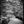 Load image into Gallery viewer, Bergger Pancro 400 8x10” (25 sheets)